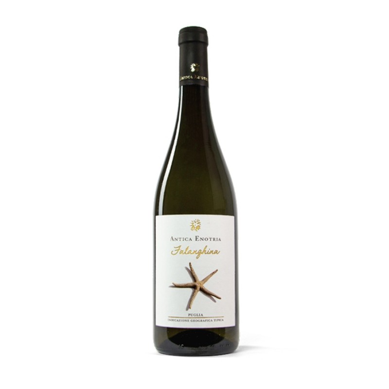 Falanghina Puglia IGT 2022 - Antica Enotria