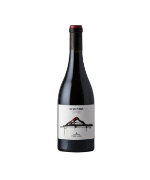 Etna Rosso DOC Scalunera 2020 - Torre Mora