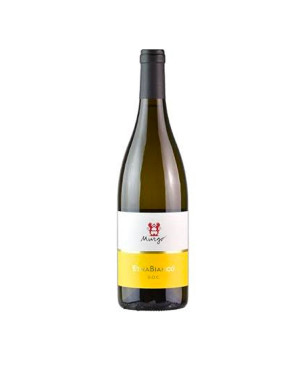 Etna Bianco DOC 2022 - Murgo