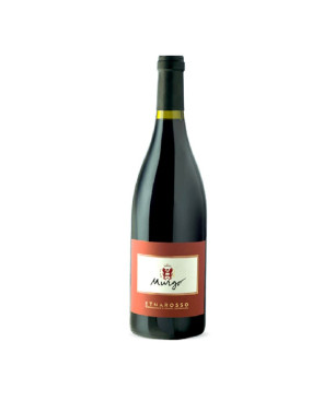 Etna Rosso DOC 2021 - Murgo