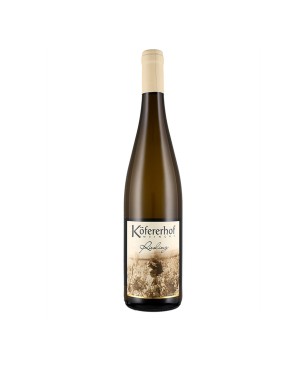 Riesling R Alto Adige Valle Isarco DOC 2021 - Kofererhof