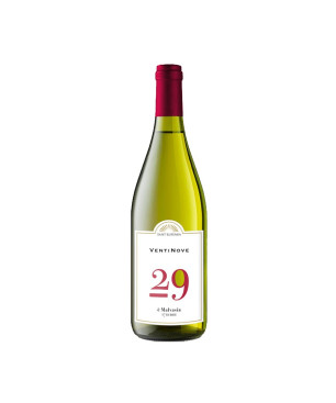 Malvasia Lazio IGT Ventinove 2021 - Sant'Eufemia