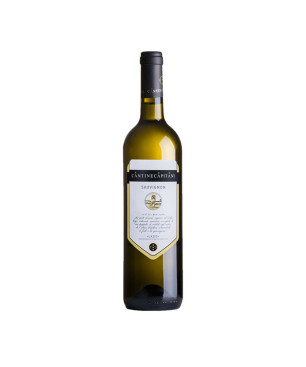 Sauvignon Lazio IGT 2022 - Cantine Capitani