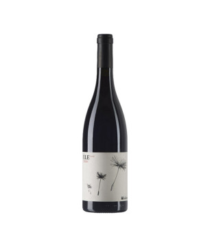 Syrah Lazio Rosso IGP Ùle 2021 - Federici