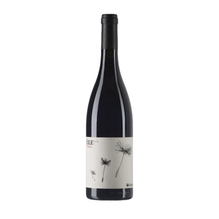 Syrah Lazio Rosso IGP Ùle 2021 - Federici