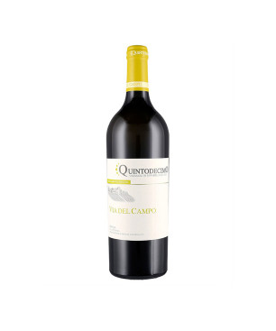 Falanghina Irpinia DOC Via del Campo 2022 - Quintodecimo