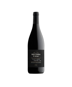 Pinot Nero Trentino DOC Bottega Vinai 2021 - Cavit