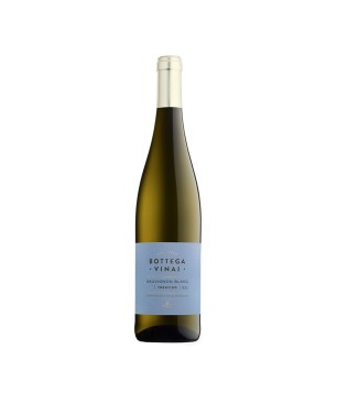 Sauvignon Trentino DOC Bottega Vinai 2022 - Cavit