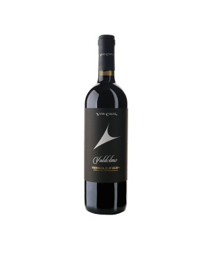 Nebbiolo d'Alba DOC Valdolmo 2021 - Vite Colte