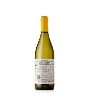 Gorgona Bianco Costa Toscana IGT 2022 - Frescobaldi