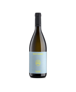 Sauvignon Friuli DOC 2022 - Bosco Albano