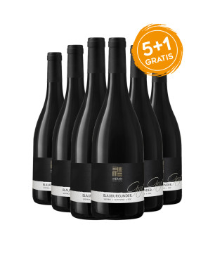 Pinot Nero Alto Adige DOC Graf - Cantina Merano [5+1 gratis]