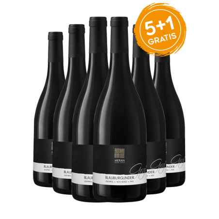 Pinot Nero Alto Adige DOC Graf - Cantina Merano [5+1 gratis]