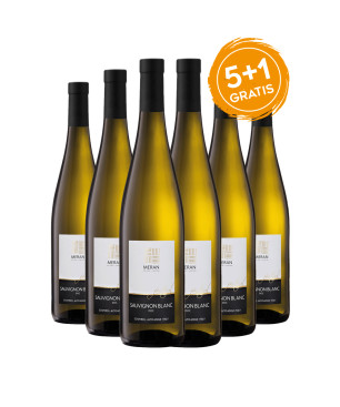 Sauvignon Alto Adige DOC Festival - Cantina Merano [5+1 gratis]