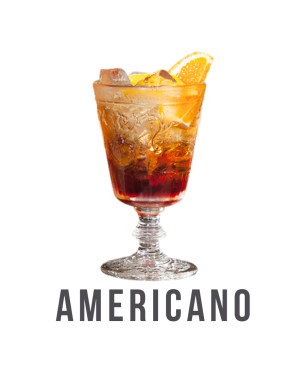 Americano Box [Vermouth Antica Formula, Botanic Bitter]