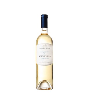 Vermentino Colline Lucchesi DOC Sotto Villa 2022 - Fattoria Sardi