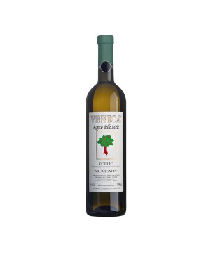 Sauvignon Collio DOC Ronco delle Mele 2022 - Venica