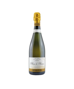 Spumante Blanc de Blancs Alta Langa DOCG Extra Brut 2019 - Fontanafredda