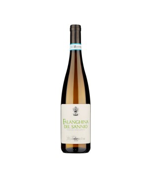 Falanghina del Sannio DOC 2022 - Mastroberardino