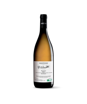 Pecorino Tullum BIO DOCG 2021 - Feudo Antico