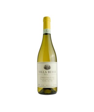 Verdicchio Riserva Castelli di Jesi Classico DOCG Villa Bucci 2020 - Bucci