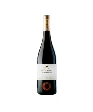 Nero d'Avola Terre Siciliane IGT 2021 - Branciforti