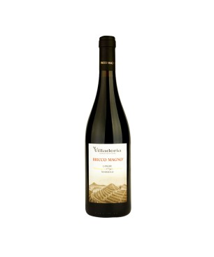 Nebbiolo Langhe DOC Bricco Magno 2019 - Villadoria