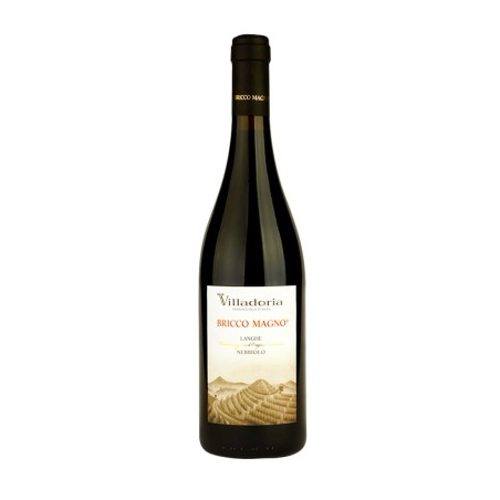 Nebbiolo Langhe DOC Bricco Magno 2019 - Villadoria