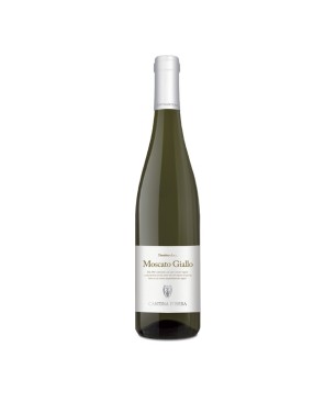 Moscato Giallo Trentino DOC 2022 - Cantina D'Isera