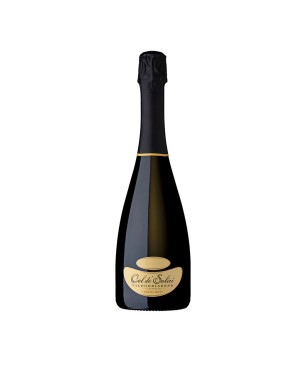 Prosecco Valdobbiadene DOCG Extra Dry Millesimato 2022 - Col dé Salici