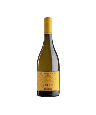 Bolgheri Bianco DOC Criseo 2021 - Guado al Melo