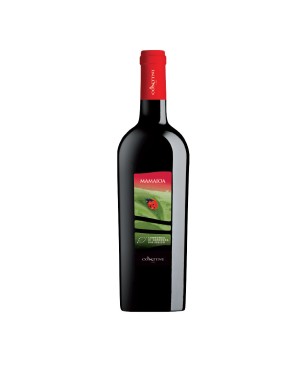 Cannonau di Sardegna DOC Mamaioa BIO 2021 - Contini