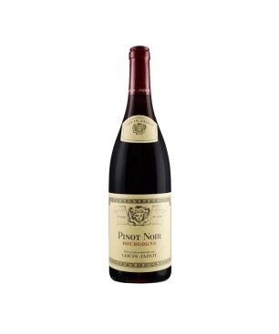 Gamay Bourgogne Rouge AOC 2021 - Louis Jadot