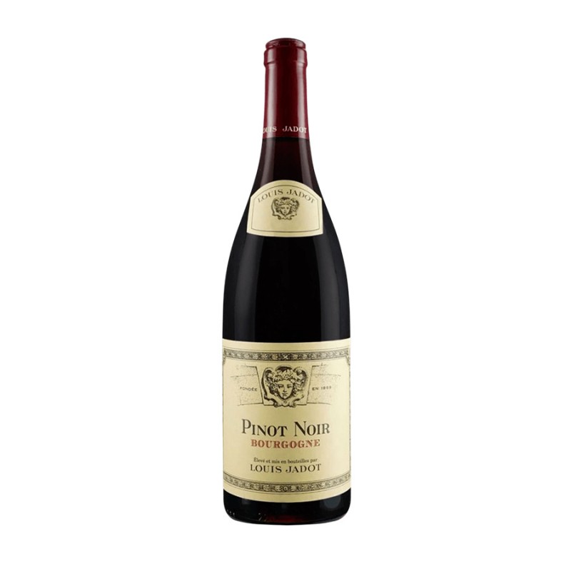 Gamay Bourgogne Rouge AOC 2021 - Louis Jadot