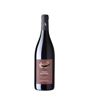 Valpolicella Ripasso DOC 2020 - Tenuta Sant'Anna