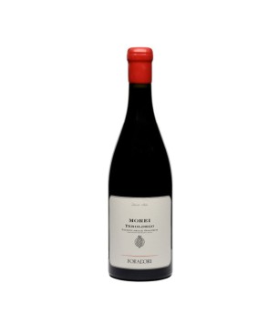 Teroldego Morei Vigneti delle Dolomiti Rosso IGT 2022 - Foradori