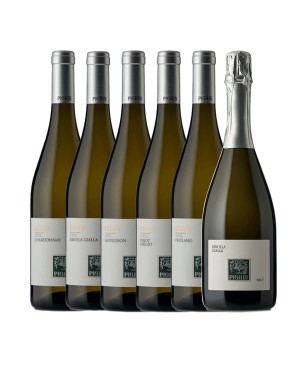 Ribolla + Pinot Grigio + Chardonnay + Sauvignon + Friulano + Spumante - Pighin (6 bot.)