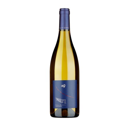 Etna Bianco DOC A' Puddara 2021 - Tenuta di Fessina