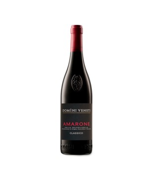 Amarone della Valpolicella Classico DOCG 2020 - Negrar Domini Veneti