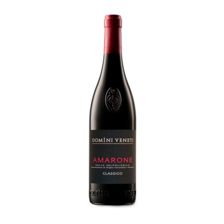 Amarone della Valpolicella Classico DOCG 2020 - Negrar Domini Veneti