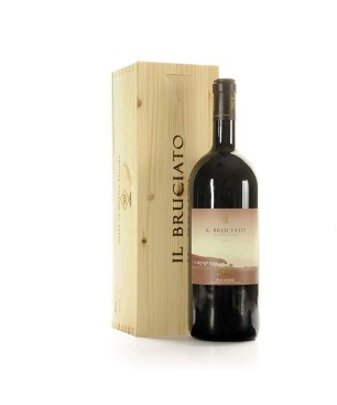 Il Bruciato Bolgheri Rosso DOC Guado al Tasso 2022 - Antinori [Magnum, Cassetta di Legno]