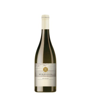 Vermentino Bolgheri DOC 2022 - Tenuta Meraviglia