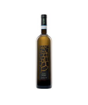 Falanghina del Sannio DOP Anima Lavica 2022 - La Guardiense