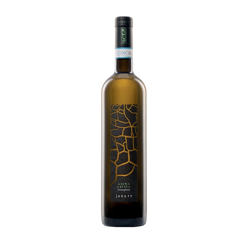 Falanghina del Sannio DOP Anima Lavica 2022 - La Guardiense