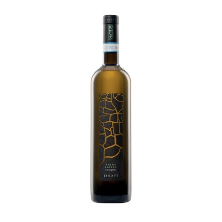 Falanghina del Sannio DOP Anima Lavica 2022 - La Guardiense