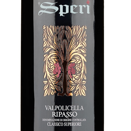 Valpolicella Ripasso Classico Superiore DOC 2021 - Speri