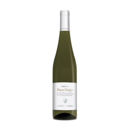 Pinot Grigio Trentino DOC 2023 - Cantina D'Isera