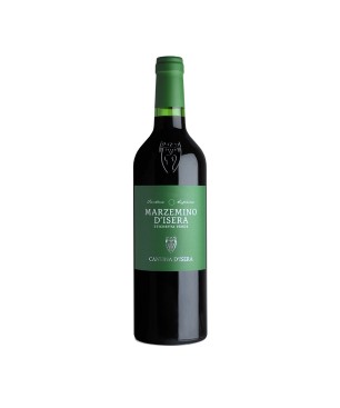 Marzemino d'Isera Trentino Superiore DOC Etichetta Verde 2021 - Cantina d'Isera