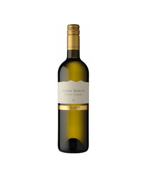 Pinot Grigio Alto Adige DOC 2023 - Elena Walch