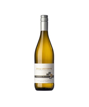 Vino Bianco Timorasso Piccolo Derthona 2023 - Vigneti Massa